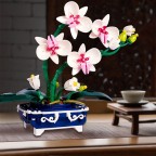Orchid bonsai architectural flowers building blocks