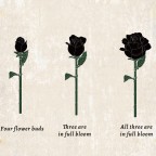 Phantom Black Rose Building Block Flower Bouquet